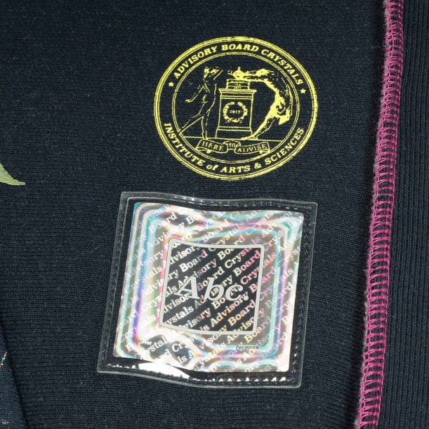 Abc Planet Saving Info. Fungi Edition 2: Predictive Programming Hoodie (Navy) - Image 6