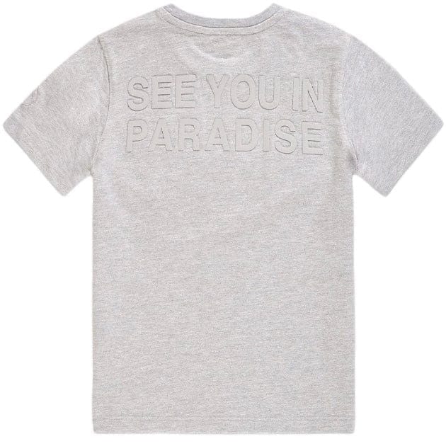 Boys Jordan Craig Paradise Tonal Tee (Heather Grey) 9097AB - Image 2