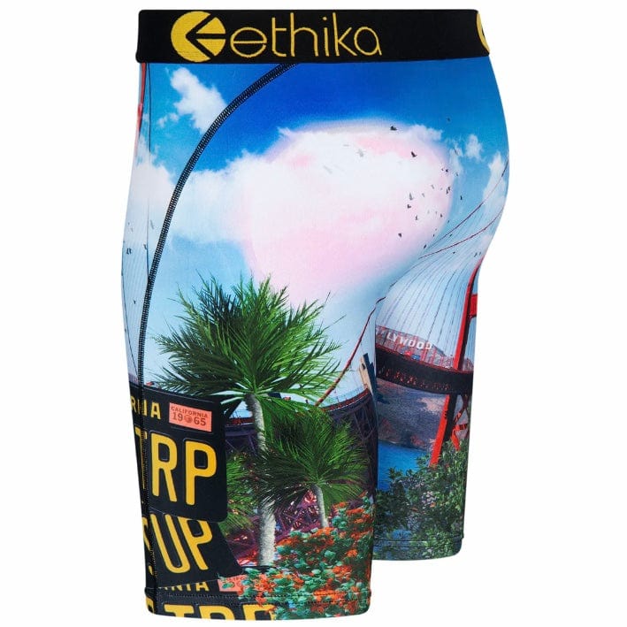 Ethika Cali Trip Underwear - Image 2