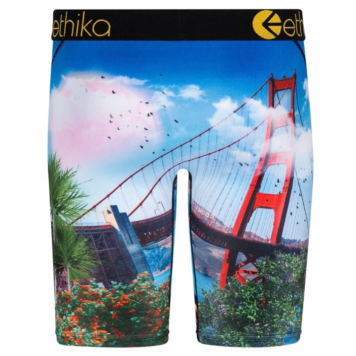 Ethika Cali Trip Underwear - Image 3
