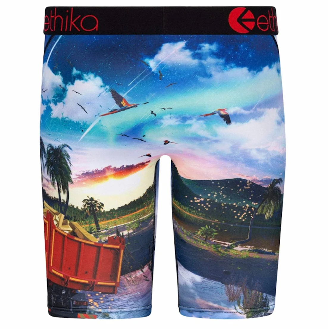 Ethika Isla De Encanto Underwear - Image 3