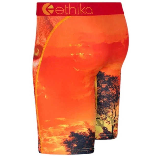 Ethika Kotj Underwear - Image 2