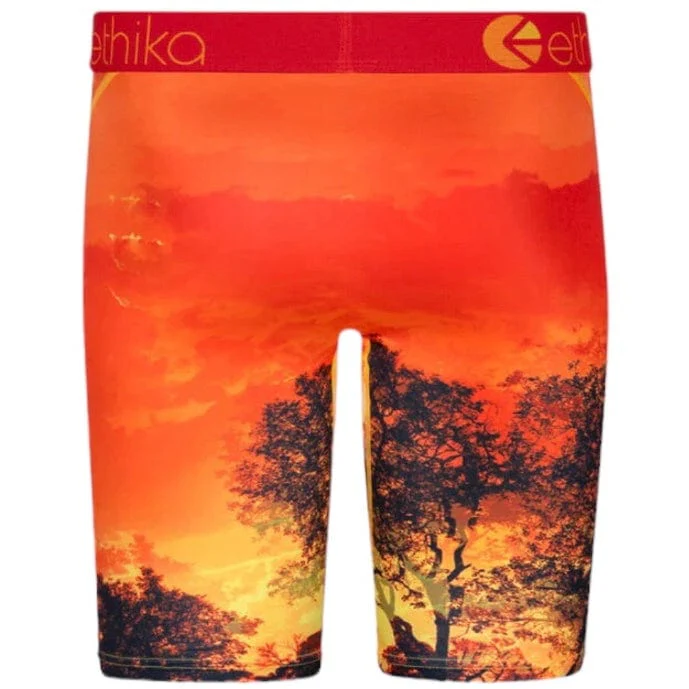 Ethika Kotj Underwear - Image 3