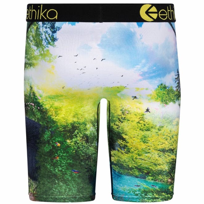 Ethika My Time Underwear - Image 3