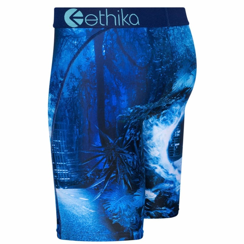 Ethika Transport8tion Underwear - Image 2