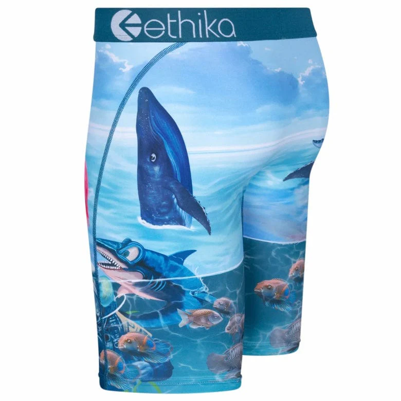 Ethika Voyage Underwear - Image 2