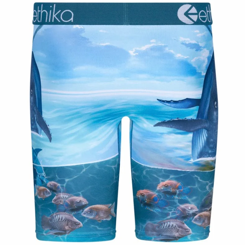 Ethika Voyage Underwear - Image 3