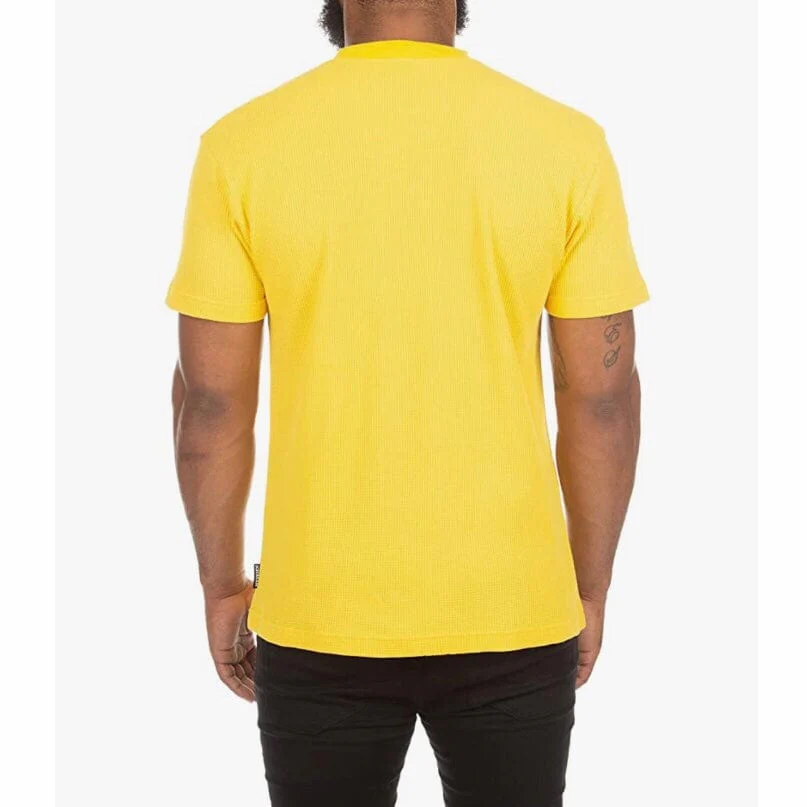 Ice Cream Hide & Seek SS Knit (Lemon Chrome) 421-3305 - Image 3