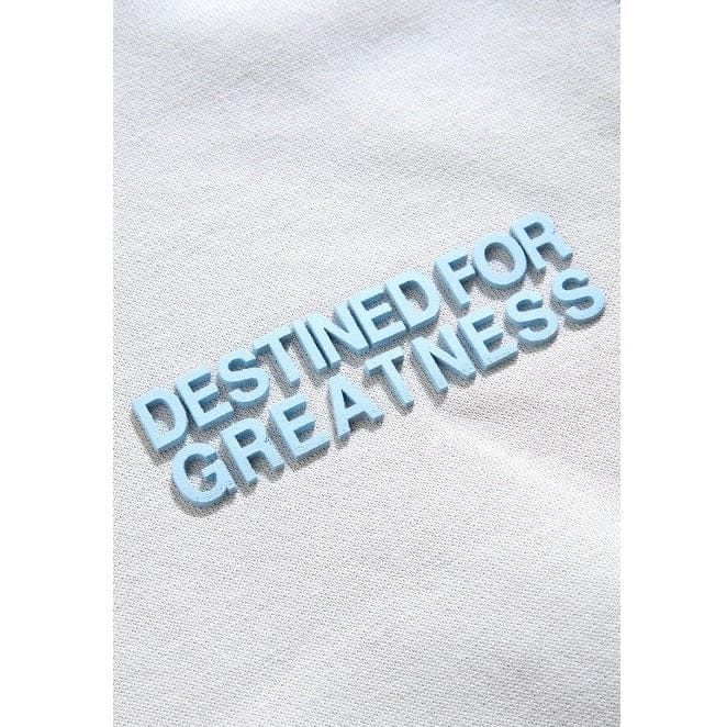 Kids Destined For Greatness Pullover Hoodie (Cement) - Image 3