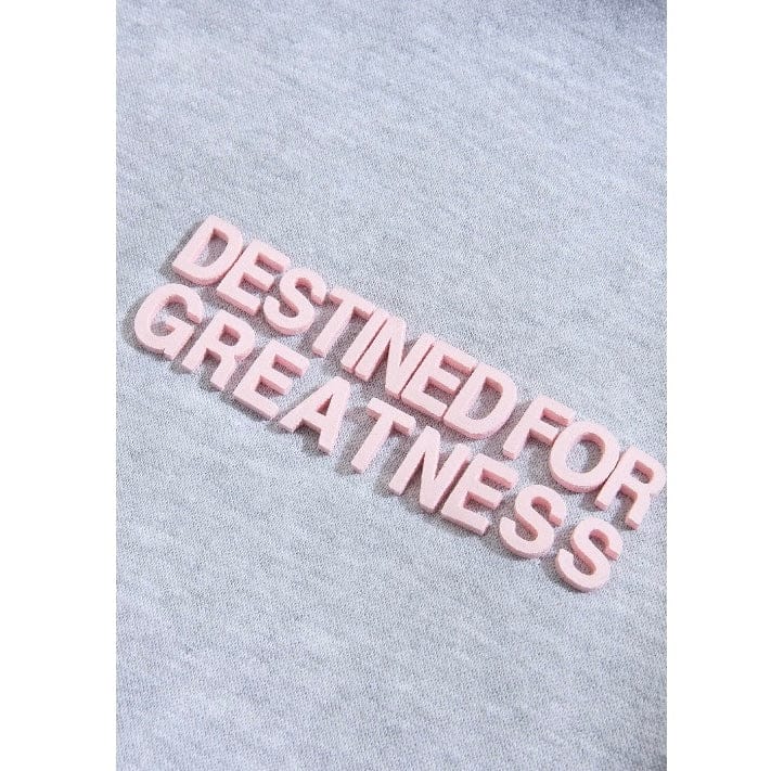 Kids Destined For Greatness Pullover Hoodie (Heather Grey) - Image 3