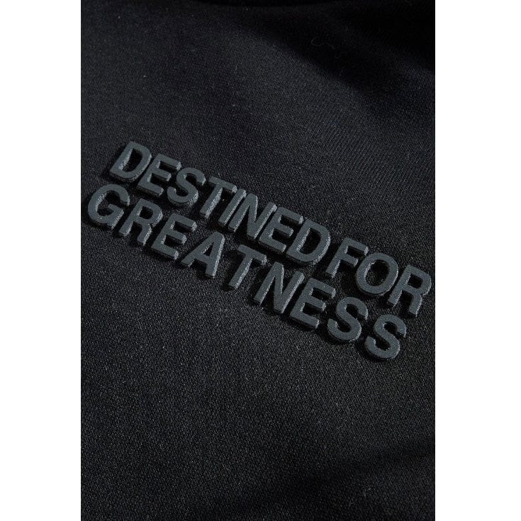 Kids Destined For Greatness Pullover Hoodie (Noir) - Image 3