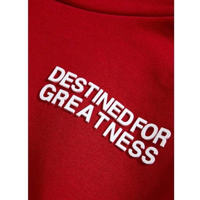 Kids Destined For Greatness Pullover Hoodie (Red) - Image 3
