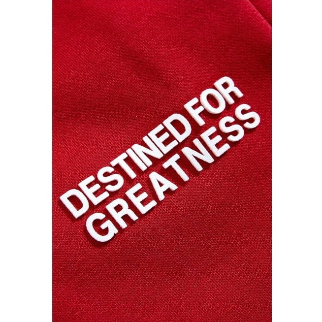 Kids Destined For Greatness Stacked Sweatpants (Red) - Image 3