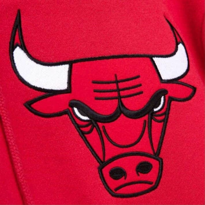 Mitchell & Ness Nba Chicago Bulls Champ City Hoodie (Scarlet) - Image 5