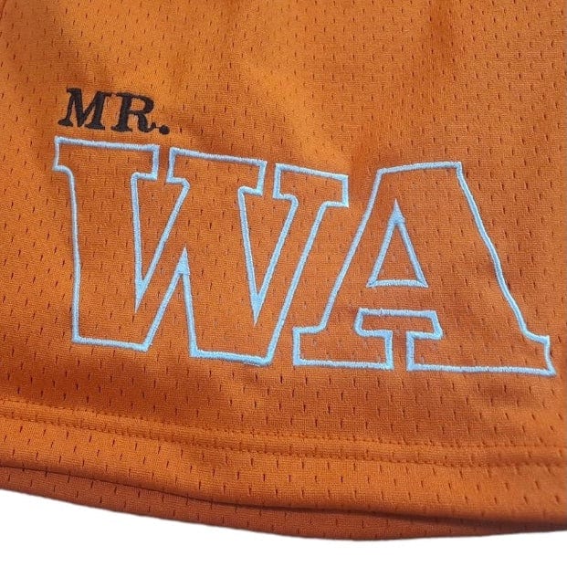 Mr.Wave Wave Mesh Shorts (Orange) - Image 2