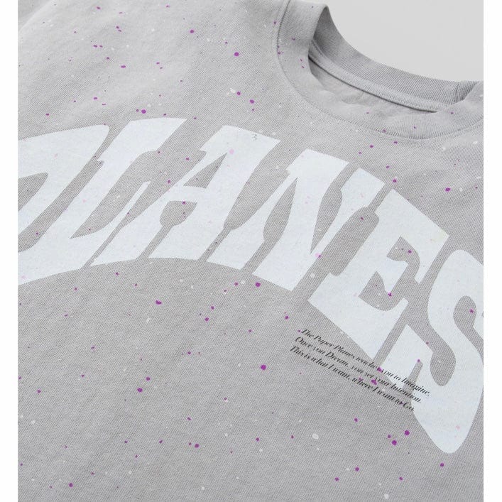 Paper Planes Love's Paradise Heavyweight Tee (Silver) 200214 - Image 3