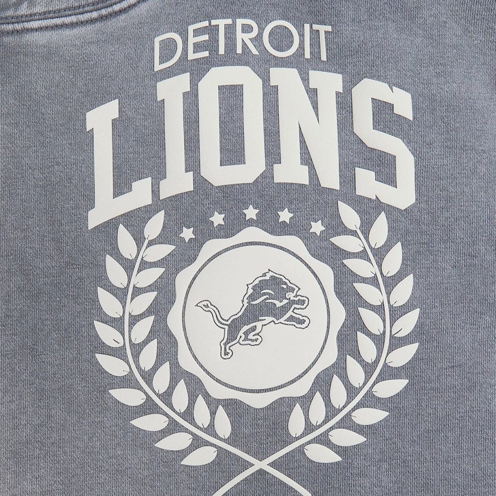 Pro Standard Detroit Lions Street Team Pullover Hoodie (Washed Grey) - Image 8