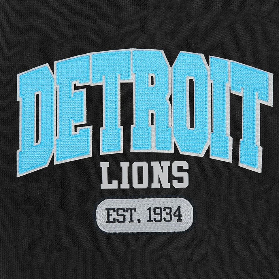 Pro Standard NFL Detroit Lions City Arch Fleece Crewneck (Black) - Image 6