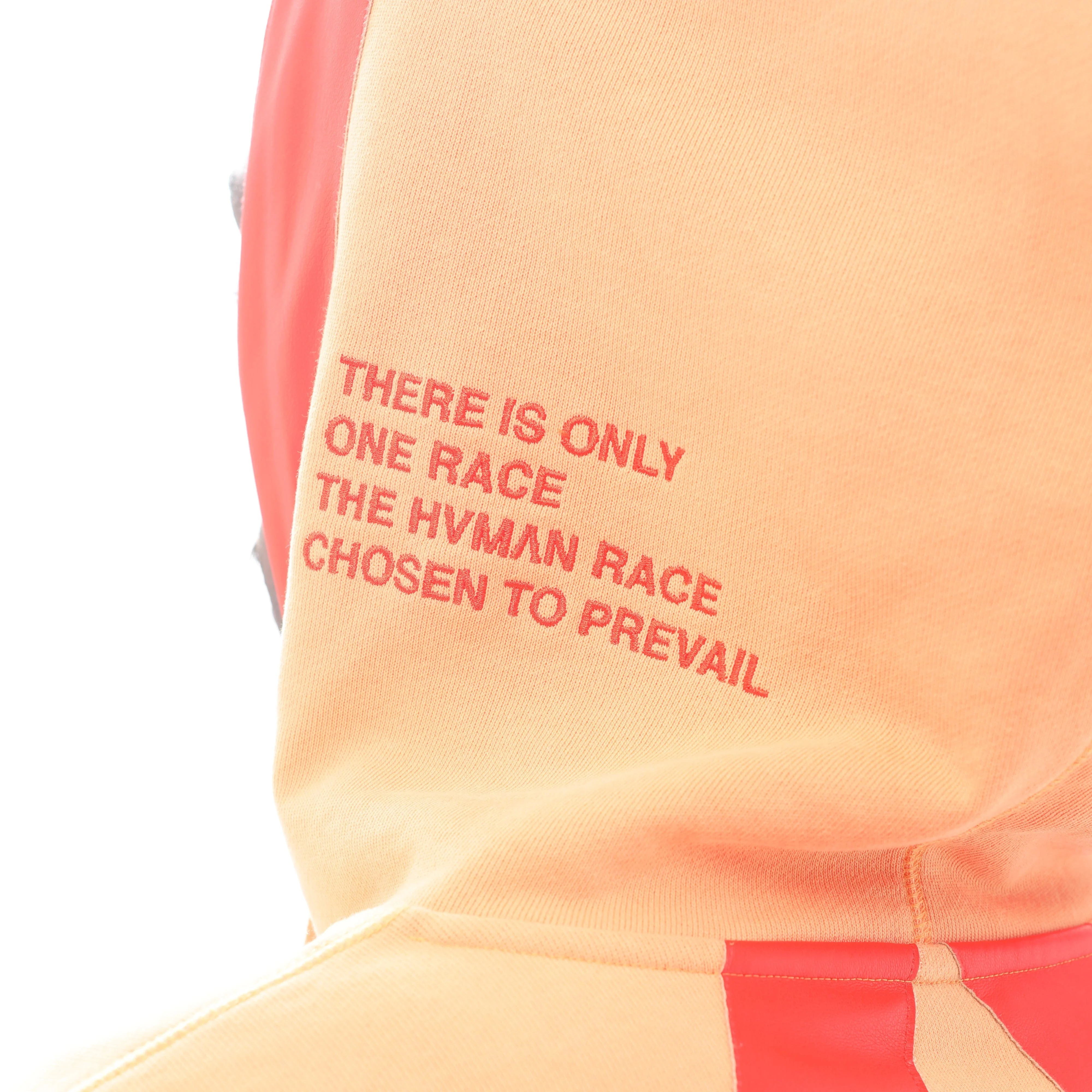 PULLOVER SWEATSHIRT IN APRICOT - Image 6
