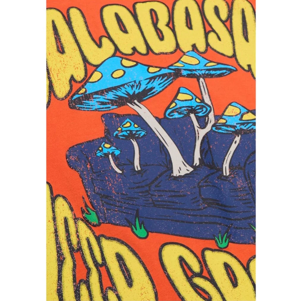 Valabasas "Growing Places" Tee (Vintage Flame Orange) VLBS90060 - Image 3