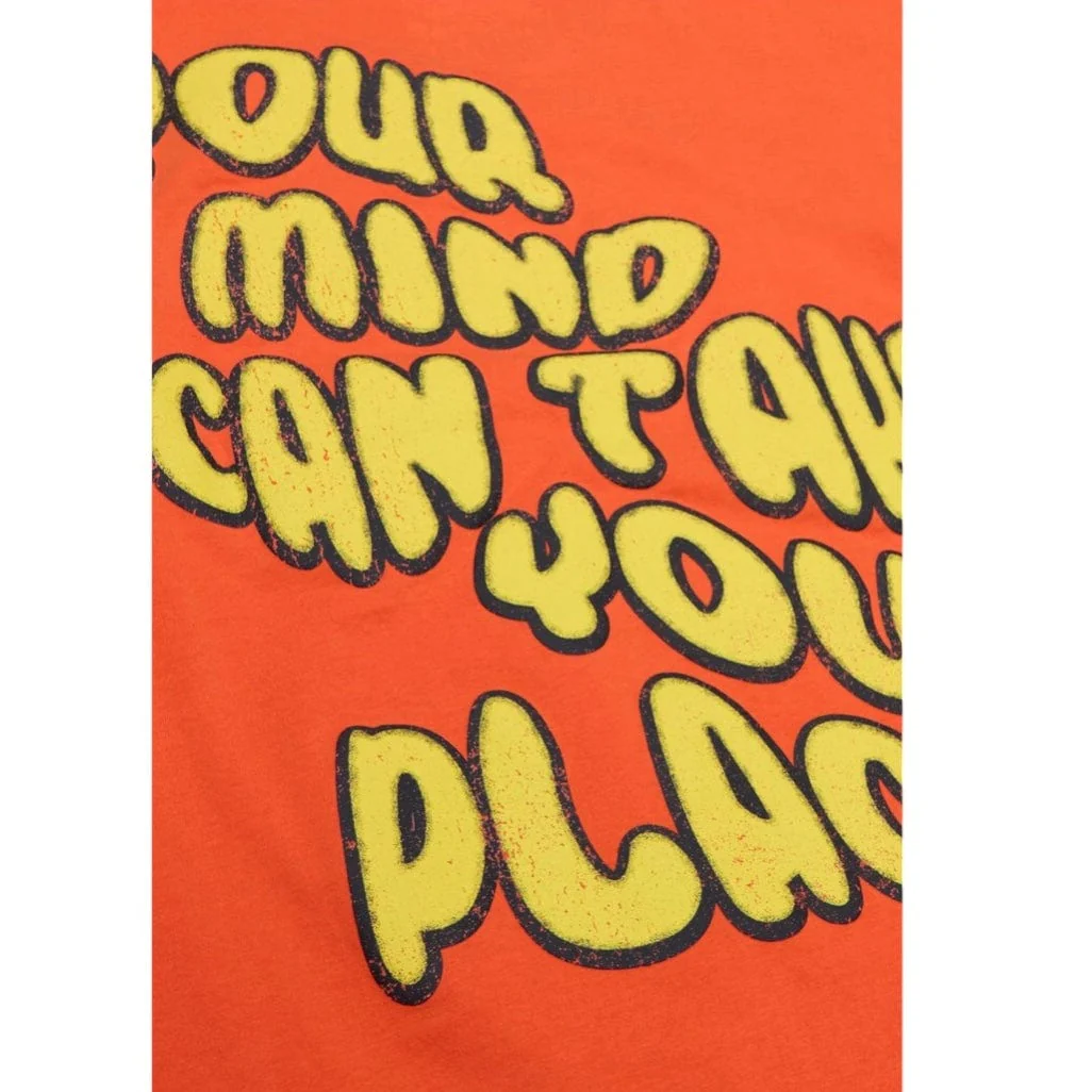 Valabasas "Growing Places" Tee (Vintage Flame Orange) VLBS90060 - Image 4